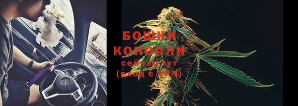 стафф Белокуриха