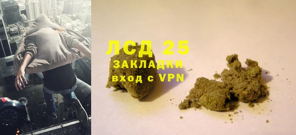прущие грибы Белоозёрский