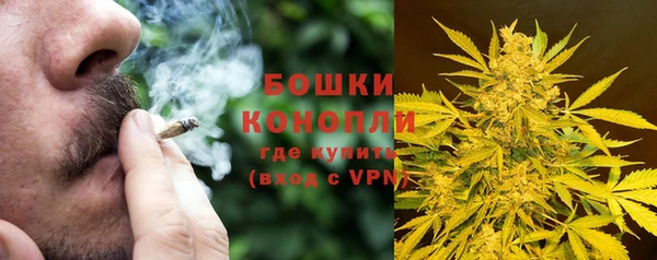 стафф Белокуриха