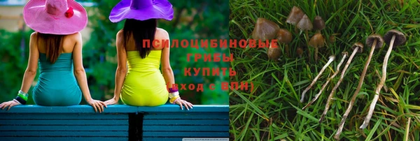 стафф Белокуриха