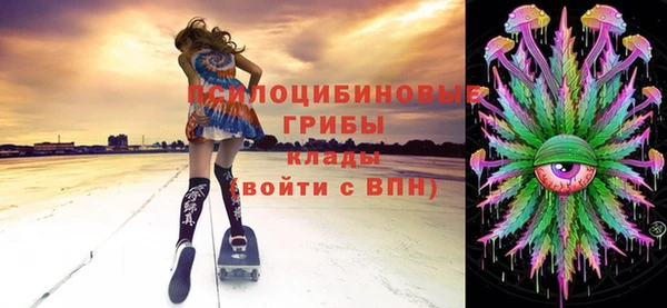 стафф Белокуриха