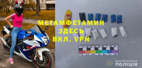 прущие грибы Белоозёрский