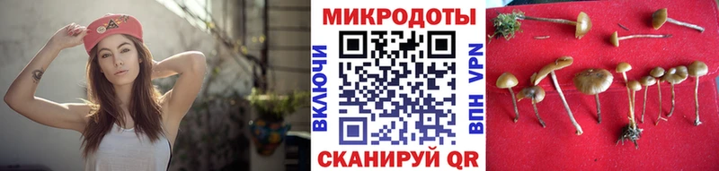 Галлюциногенные грибы Psilocybe  Купить  Жуков 